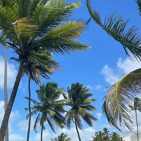 Flat charmoso em Porto de Galinhas - Próximo à Praia-2